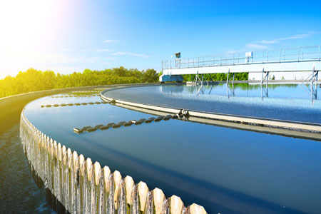 pH and alkalinity improvement in a municipal wastewater clarifier